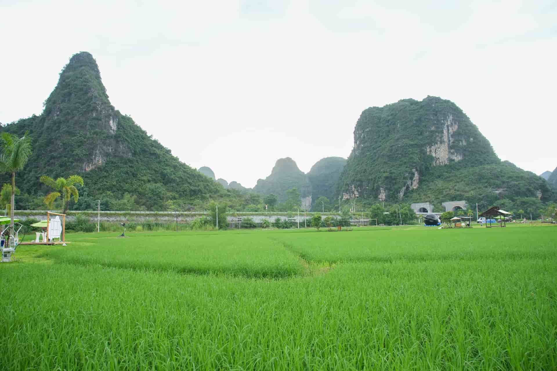 Weixin Image_20250831160906.jpg