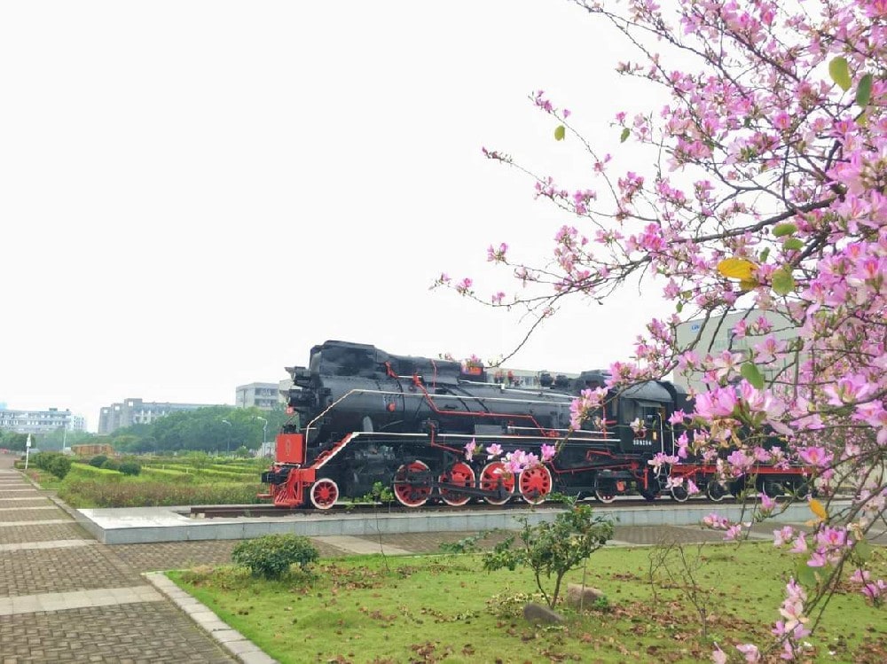 Visit to Former 'Nanyang Inn' in Liuzhou Bears Witness to China-Vietnam Camaraderie